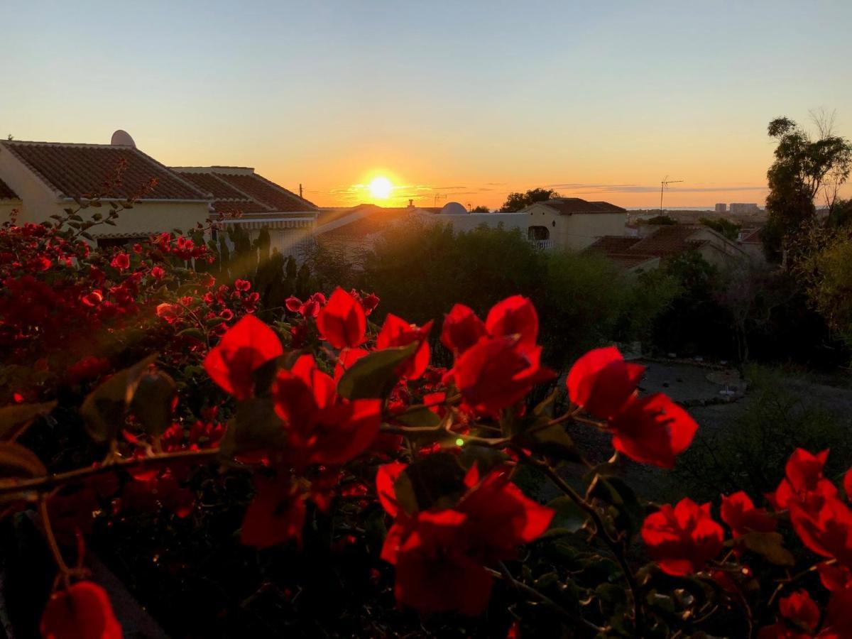 Sonniges Apartment An Der Costa Blanca San Fulgencio Zewnętrze zdjęcie